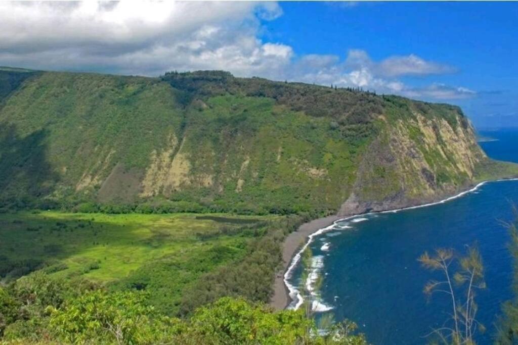 Appartement Kilauea Iki- Hale Kumu La'Au à Volcano Extérieur photo